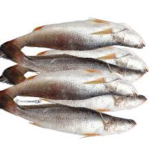 boAt BassHeads 900 Super Extra Bass Wired Headset